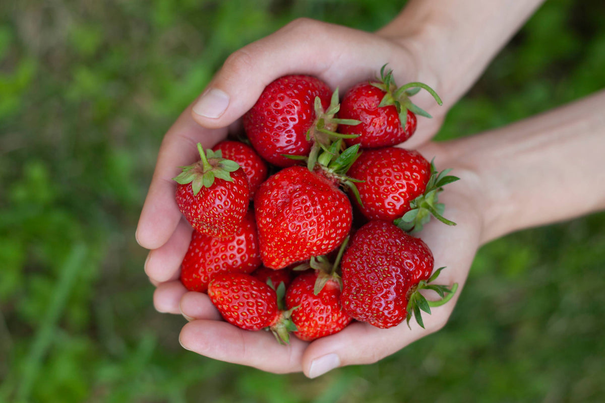 Strawberry